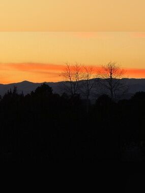 Meet your Posher, Kara